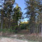 Timberland for sale in La Salle Parish