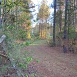 Timberland for sale in La Salle Parish