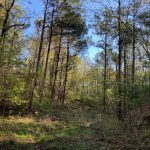 Recreational land for sale in La Salle Parish