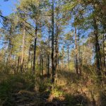 La Salle Parish Development land for sale