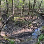 La Salle Parish Timberland for sale