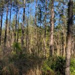 Recreational land for sale in La Salle Parish