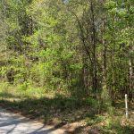 Timberland property for sale in Caldwell Parish