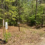 Development land for sale in Caldwell Parish