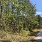 Caldwell Parish Timberland property for sale