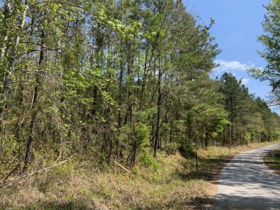 Caldwell Parish Timberland property for sale