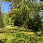 Catahoula Parish Investment property for sale