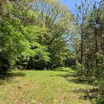 Timberland for sale in Catahoula Parish