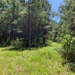Catahoula Parish Investment land for sale