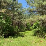 Catahoula Parish Investment land for sale