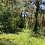 Investment property for sale in Catahoula Parish