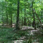 Recreational land for sale in Catahoula Parish