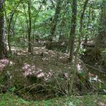 Catahoula Parish Recreational property for sale