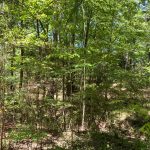 Recreational land for sale in Catahoula Parish