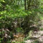Timberland for sale in Catahoula Parish