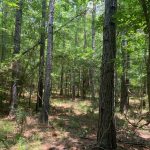 Recreational land for sale in Caldwell Parish