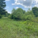 Caldwell Parish Recreational land for sale