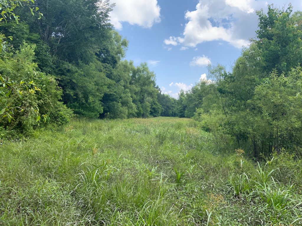 Caldwell Parish Recreational land for sale