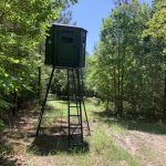 Timberland for sale in Sabine Parish