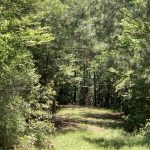 Sabine Parish Recreational property for sale