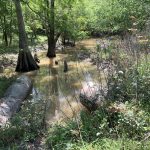 Investment property for sale in Concordia Parish