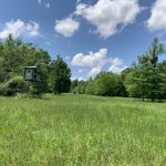 Concordia Parish Investment land for sale