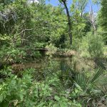 Concordia Parish Recreational property for sale