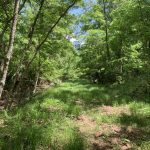 Concordia Parish Recreational land for sale