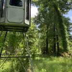 Timberland property for sale in Concordia Parish