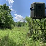 Concordia Parish Investment land for sale