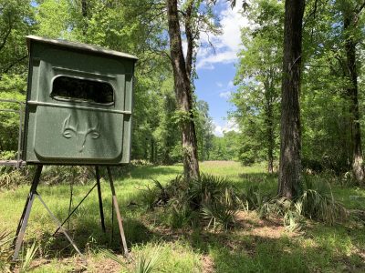Timberland for sale in Concordia Parish