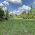 Concordia Parish Investment land for sale