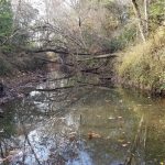 Investment land for sale in Winn Parish