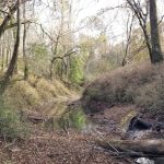 Winn Parish Residential property for sale