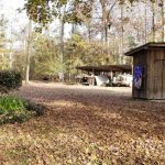 Winn Parish Residential property for sale