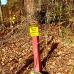 Timberland for sale in Winn Parish