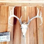 Timberland for sale in Winn Parish