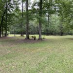 Winn Parish Timberland for sale