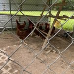 Winn Parish Investment property for sale