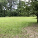 Timberland for sale in Winn Parish