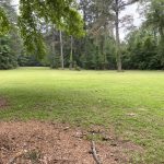 Winn Parish Hunting property for sale