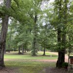 Timberland for sale in Winn Parish