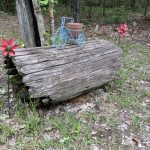 Winn Parish Timberland property for sale