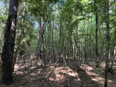 Winn Parish Recreational property for sale