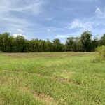 Timberland property for sale in Rapides Parish
