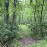 Rapides Parish Investment property for sale