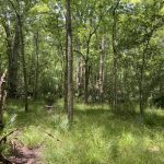 Rapides Parish Development property for sale