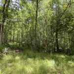 Rapides Parish Development land for sale