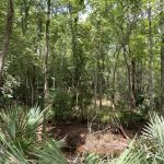 Development land for sale in Rapides Parish