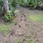 Rapides Parish Development property for sale